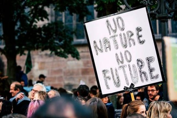Les traités internationaux sur l'environnement: un aperçu